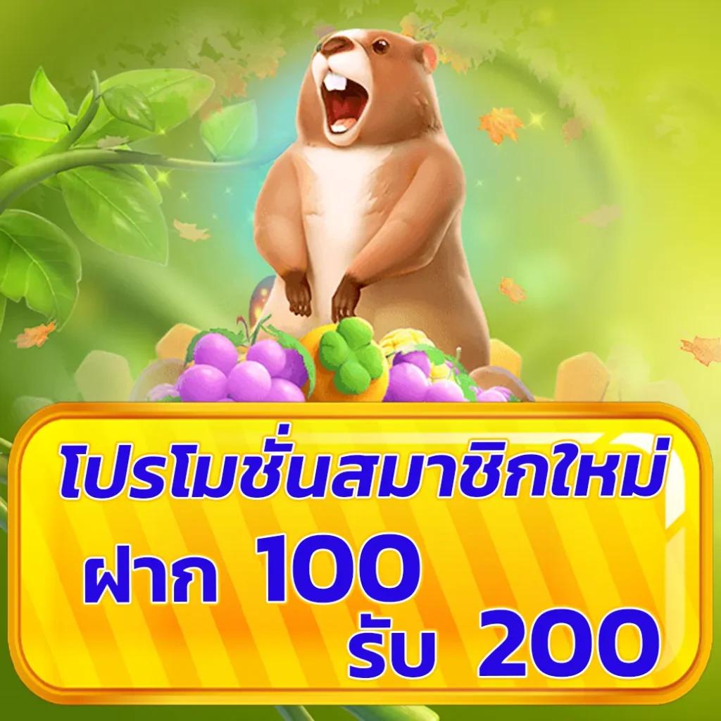 Koxbet คาสิโนบนเว็บยอดนิยม เข้าสู่การเดิมพันออนไลน์ทันใจ